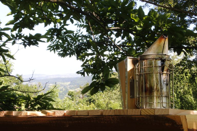 Les Ruchers de Baud Pailhares 768x512