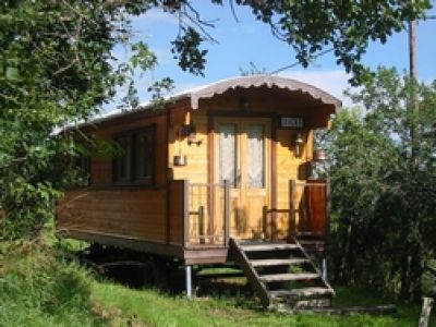 petit marchand 835 1503909235 m